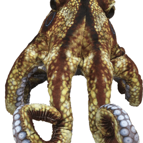 Octopus4