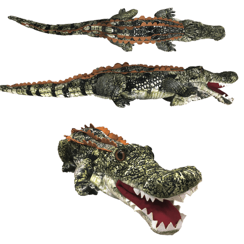 croc collage